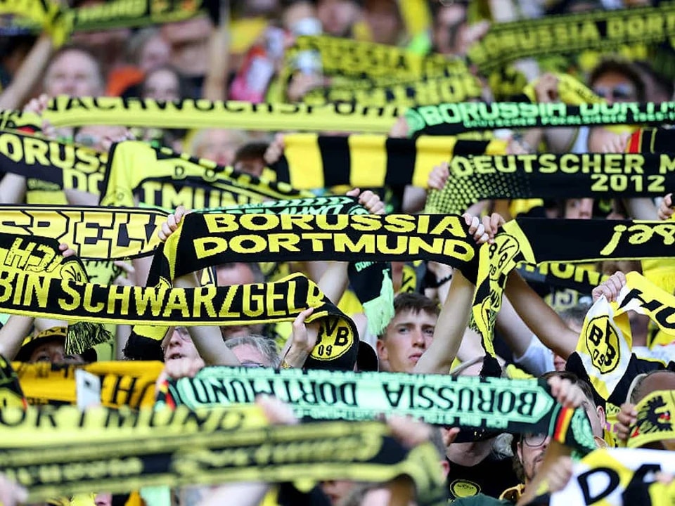 站票赛季票 站票赛季票