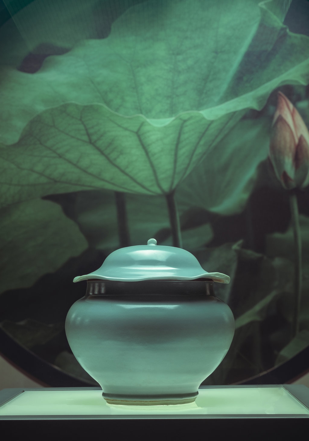 象成为遂宁 象成为遂宁